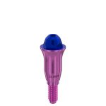 Straight Multi-Unit Abutment D-Type GH 5 mm for Megagen AnyOne®