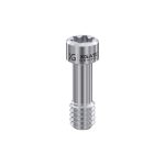 Screw for Abutment Torx6 for MIS® V3 RP