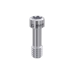 Screw for Abutment Torx6 for MIS® V3 RP