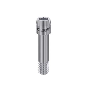 Screw for abutment for Straumann® BL