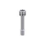 Screw for Abutment Torx6 for Straumann® BL