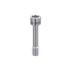 Screw for Abutment Torx6 for Straumann® BL