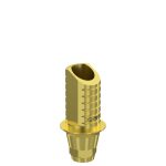 Ti-Base UNO Hex H6 GH 1 mm for Dentium® RP