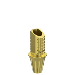 Ti-Base UNO Round H6 GH 2 mm for Dentium® RP