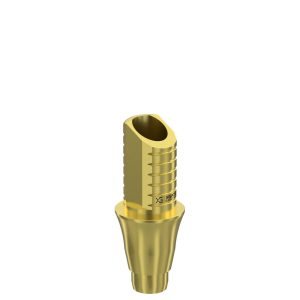 Ti-Base UNO Round H6 GH 3 mm for Dentium® RP