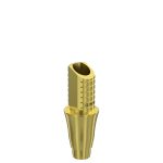 Ti-Base UNO Round H6 GH 4 mm for Dentium® RP