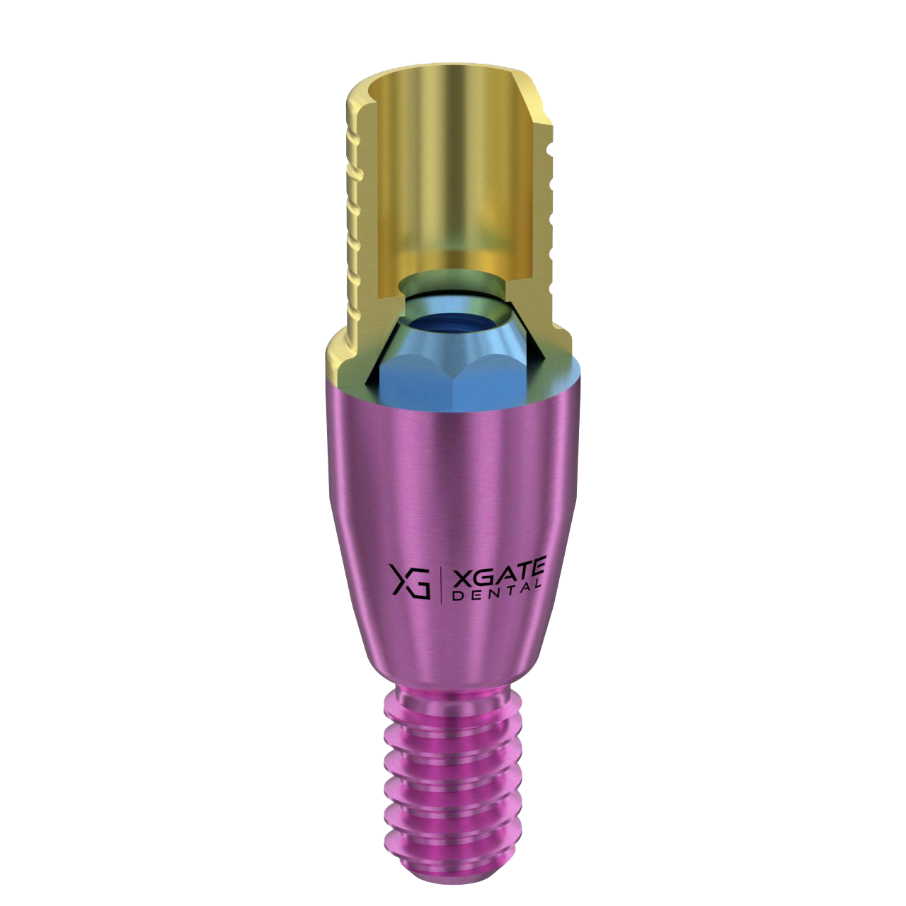 Product illustration of the XGATE Dental S-type multi-unit abutment design.