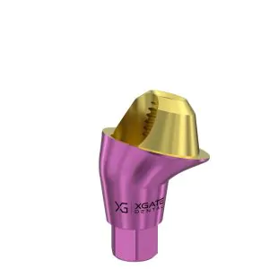 17° Multi-Unit Abutment D-Type GH 1 mm for Neodent GM®