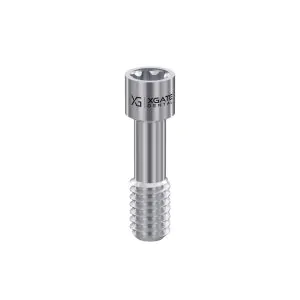 Screw for Abutment Torx6 for Internal Hex RP