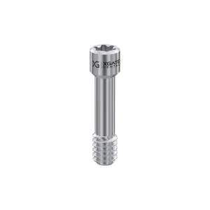 Screw for Abutment Torx6 for Megagen AnyOne®