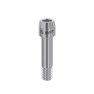 Screw for abutment for Straumann® BL