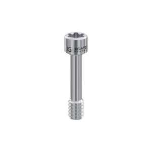 Screw for Abutment Torx6 for Straumann® BL
